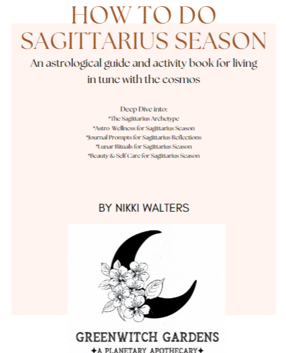 Sagittarius Season Guide + Activity Book