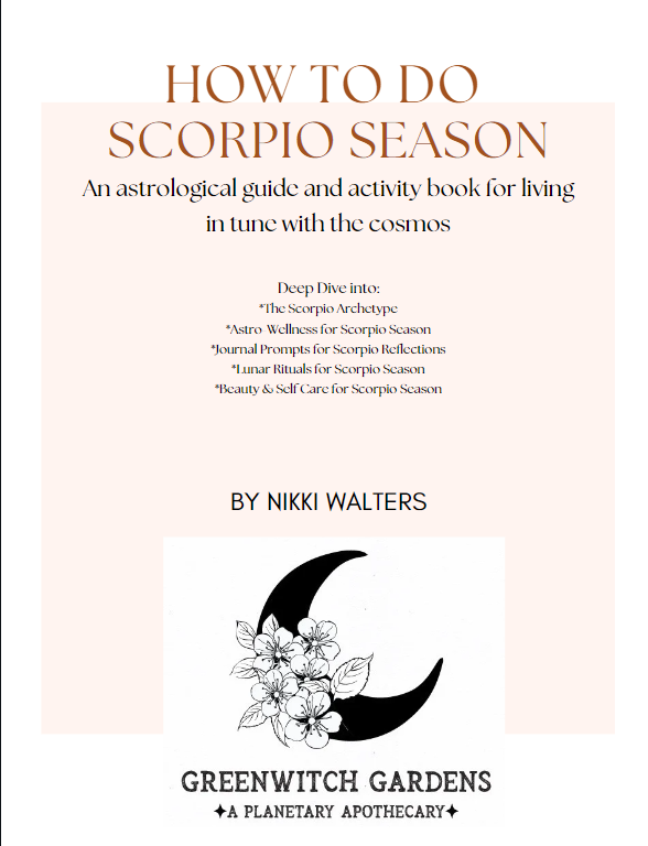 Scorpio Season Guide + Activity Book